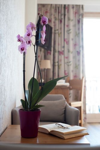 Chambre Triple Balcon vue lac