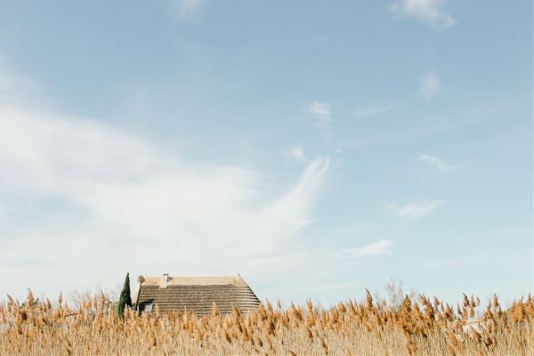 Bien - être