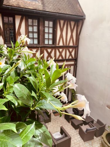 Expérience Bourguignonne à Dijon - Caractère & Patrimoine